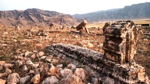 شیرهای سنگی به کام سارقان ساماندهی میشود! شیرهای سنگی به کام سارقان ساماندهی میشود!