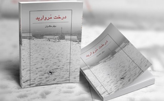 میثم خالدیان درخت مروارید کاشت!