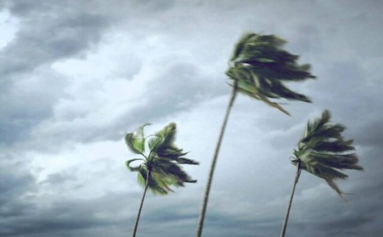 لنگراندازی باد و خاک محلی در خوزستان!