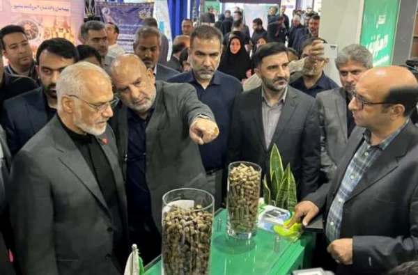 دستاوردهای صنعت نیشکر در نگاه استاندار خوزستان