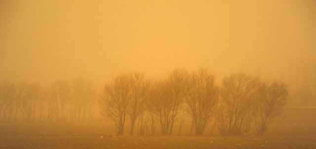 باد و خاک محلی خوزستان را می خورد!