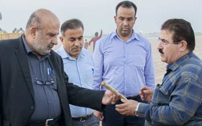 کشت و صنعت نیشکر دعبل خزاعی خیز برداشت