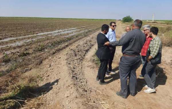 برداشتی از برداشت نیشکرهای امیرکبیر برداشتی از برداشت نیشکرهای امیرکبیر