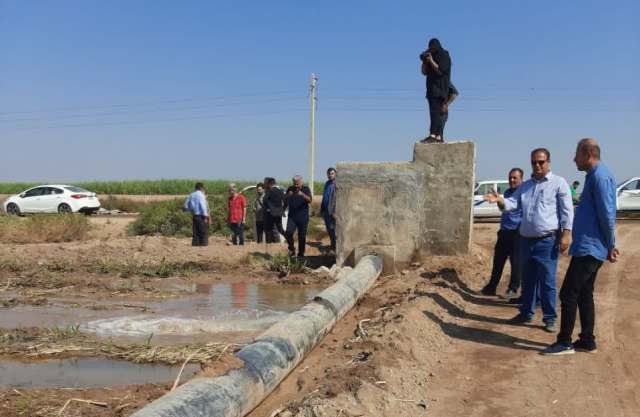 برداشتی از برداشت نیشکرهای امیرکبیر برداشتی از برداشت نیشکرهای امیرکبیر