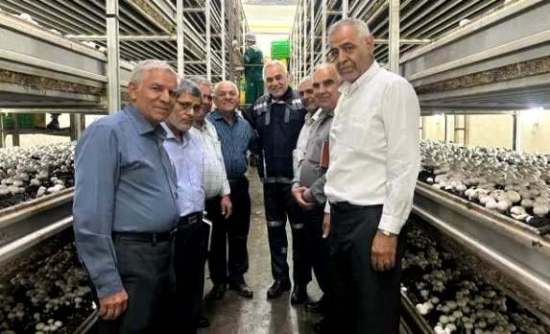 کندوکاوی در امنیت غذایی مردم! کندوکاوی در امنیت غذایی مردم!