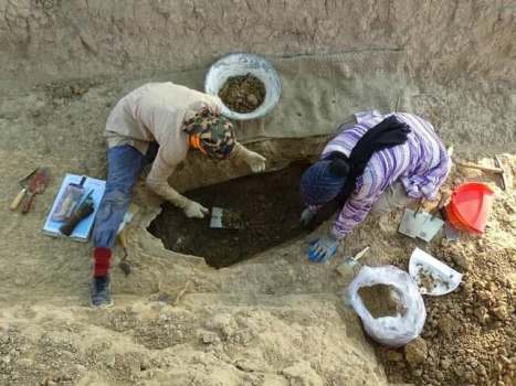 جزییات تازه از گورخُفتههای اهواز جزییات تازه از گورخُفتههای اهواز