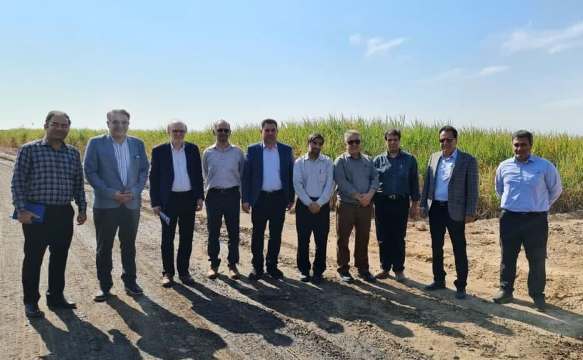 نیشکر در مدیریت مصرف آب پیشرو است