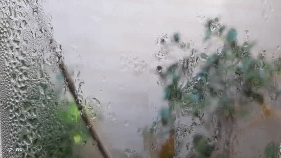 رطوبت و شرجی در خوزستان جان می گیرد