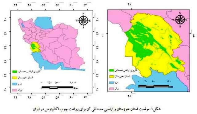 از جنگلکاری تا جنگلداری و حکایت مولانا! از جنگلکاری تا جنگلداری و حکایت مولانا!