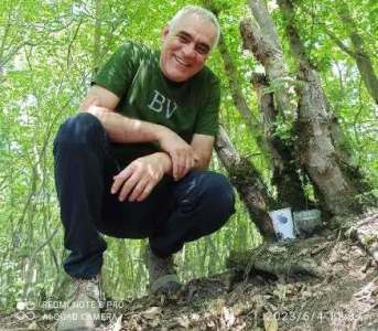 از جنگل‌کاری تا جنگل‌داری