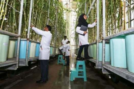 پیشگام در کشاورزی مُدرن؛ رشد تولید باتکیه بر دانش پیشگام در کشاورزی مُدرن؛ رشد تولید باتکیه بر دانش