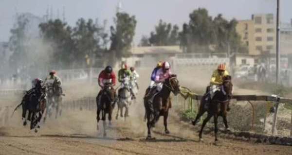 چابک‌سوار توسعه نیشکر دهخدا درخشید