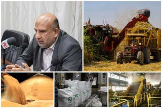 دکتر ناصری: ۵۸۰ هزار تن شکر تولید شد