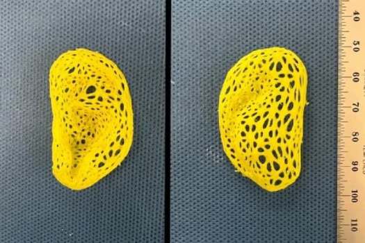 پژوهشگران گوش انسان را چاپ کردند!