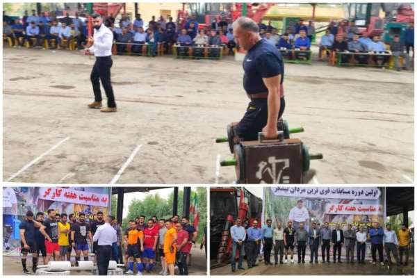 قوی‌ترین مردان نیشکر شیرین کاشتند