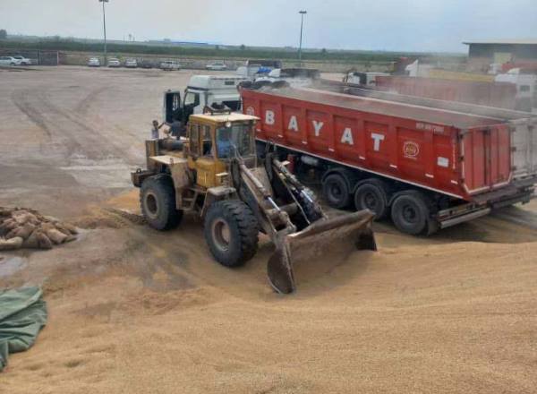 نان مردم در باران آجر نشد