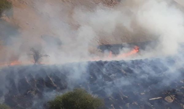 آتش اراضی (هفت شهیدان) مسجدسلیمان خاموش شد آتش اراضی