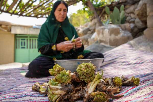 این آش ضد سرطان است