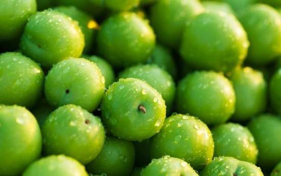 گوجه سبز هم‌قیمت پراید در سال ۷۳ شد!