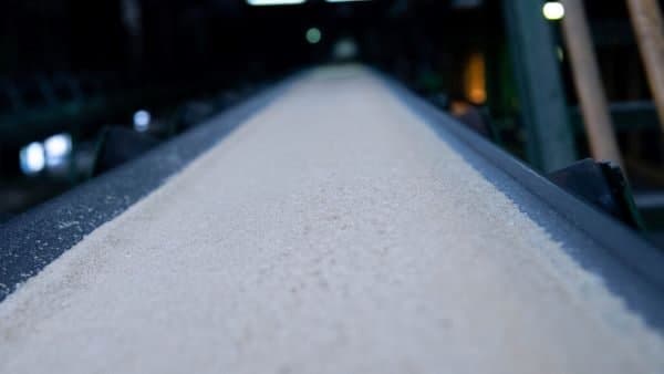 دومین مرزشکنی صنعت نیشکر در ۱۴۰۴