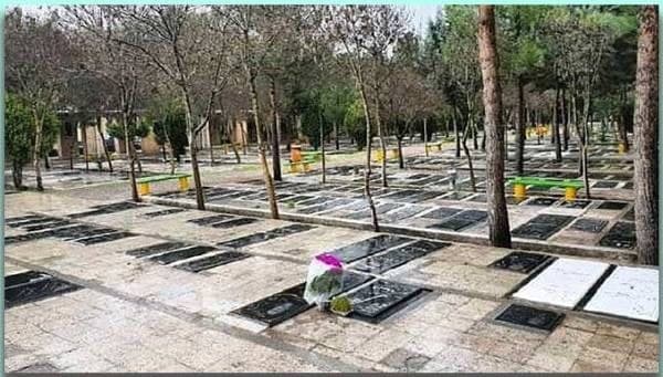 خُدایا! نرخ مُردن را کاهش دهید...