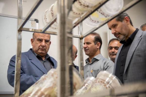 جمع تولیدکنندگان انبوه زنبور تلنموس جور شد