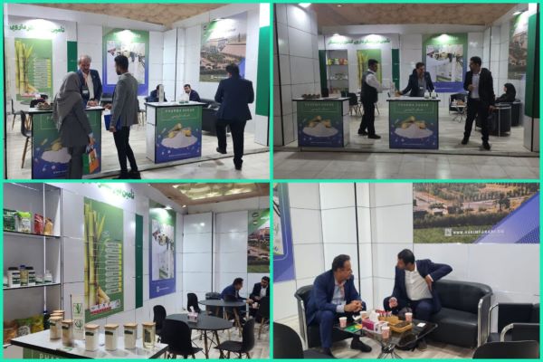 ۱۳۰ شرکت دارویی کشور خیال شان تخت شد!