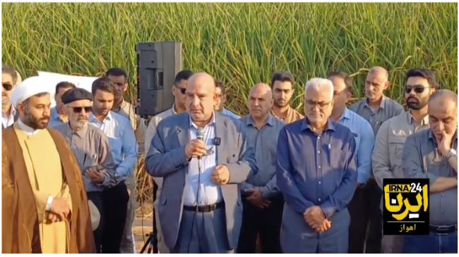 کشت و صنعت دهخدا سرسبزتر از اهواز!