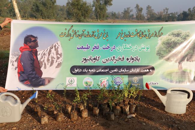 کارکنان تامین اجتماعی شعبه یک دزفول نهال کاشتند