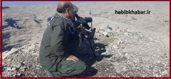 ۱۵۱۰ راس «کیان‌زی» در خوزستان شمارش شد/رُخشاره