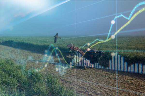 سود ۱۰ هزار میلیاردتومانی نیشکر در سال آینده سود ۱۰ هزار میلیاردتومانی نیشکر در سال آینده