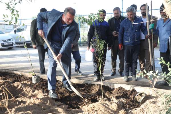کاشت ۱۰۰ اصله نهال به یاد شهیدان آبفا اهواز کاشت ۱۰۰ اصله نهال به یاد شهیدان آبفا اهواز