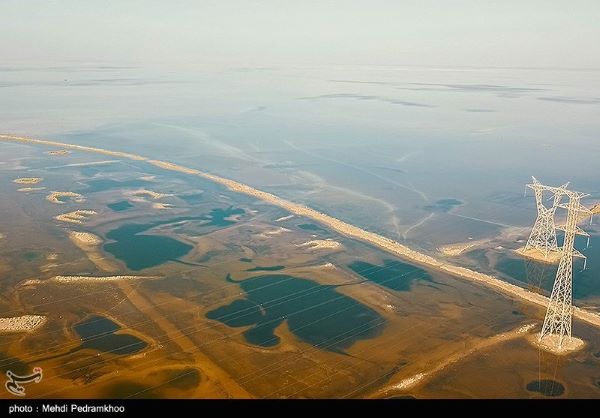 «نفت» آب می نوشد؛ «تالاب» آتش!