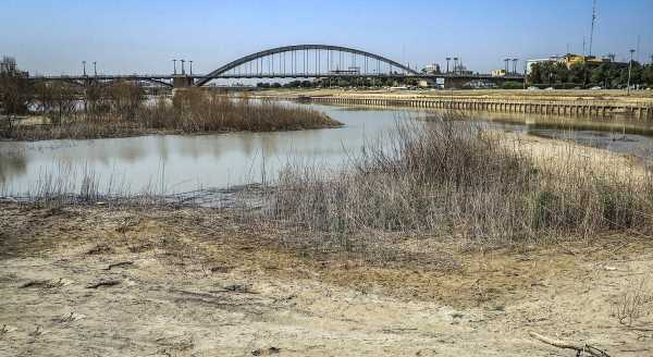 شاعران خروش کارون خروشیدند! شاعران