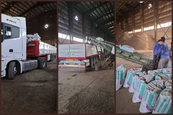  صادرات شکر دارویی در دستور کار قرار گرفت