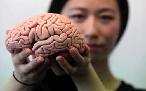 این ماده مغز را پیر می‌کند