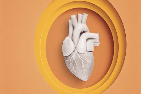  کاربرد بادام در بهبود سلامت قلب