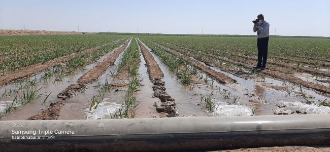 «فارابی»؛ همزیستی علم، صنعت و زیست‌بوم