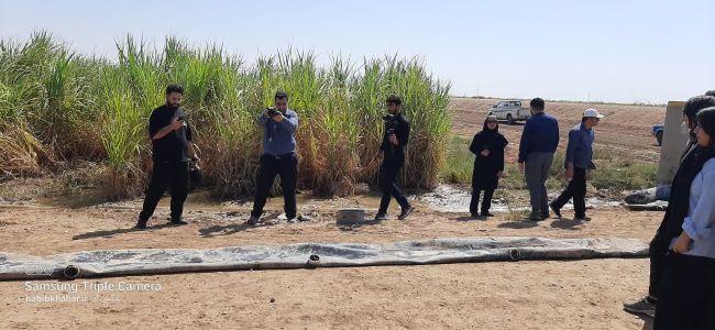 «فارابی»؛ همزیستی علم، صنعت و زیست‌بوم