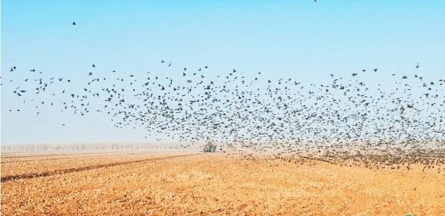 «فارابی»؛ همزیستی علم، صنعت و زیست‌بوم