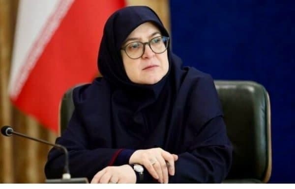 پروازها تا اطلاع ثانوی انجام نمی شود/در شرایط جنگی قرار گرفتیم