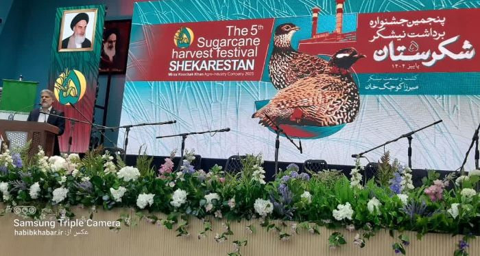 دکتر ولید آلبوناصر