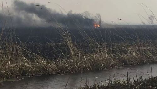 آتش هورالعظیم عراق مدارس خوزستان را تعطیل کرد!