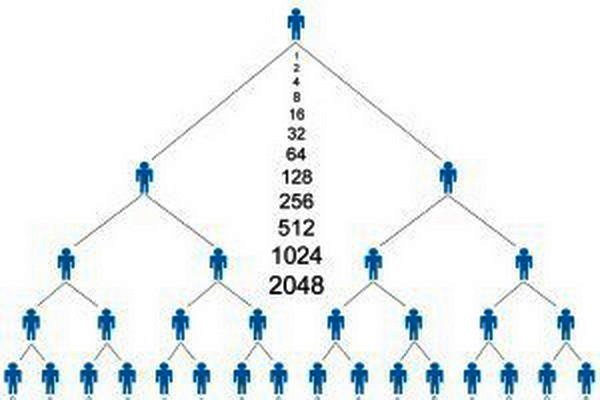 بازداشت ۹۷ فعال شرکت‌های هرمی