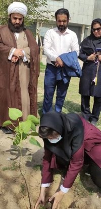 کاشت نهال انجیر به یاد قاسم آهنینجان کاشت نهال انجیر به یاد قاسم آهنینجان