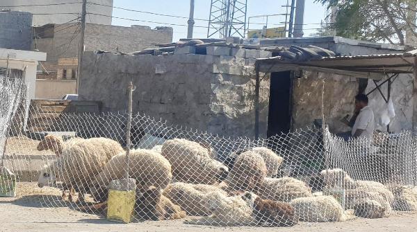 مدیریت شهری اهواز چه می کند؟